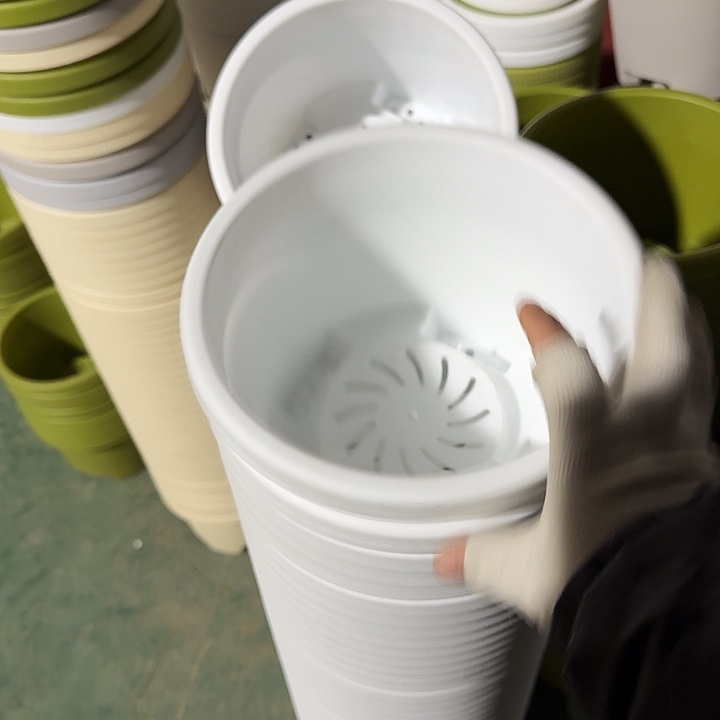 球根21口径6个无托