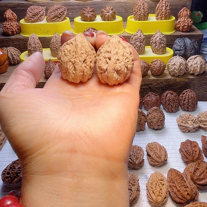 核桃47号车放漏咯宇