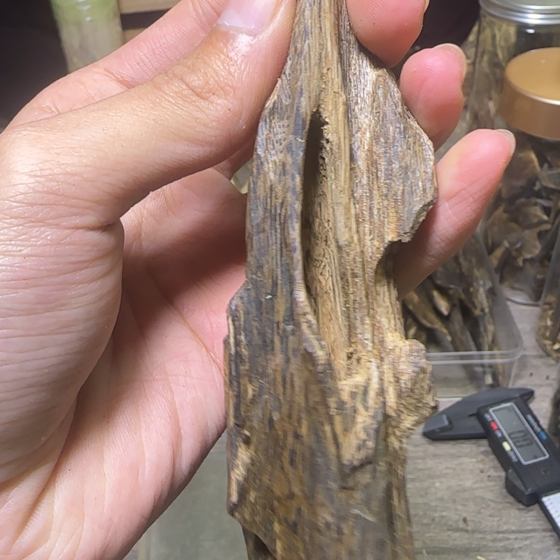 线香紫奇虫漏原料发一份