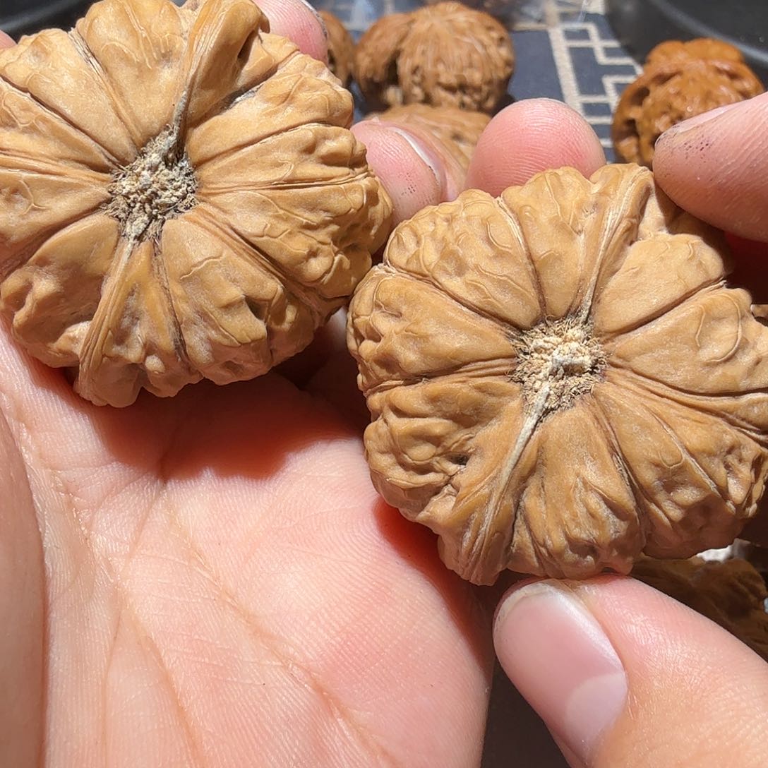文玩核桃把件南瓜