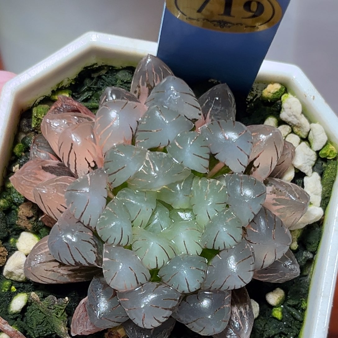 恭喜发财大吉大利719