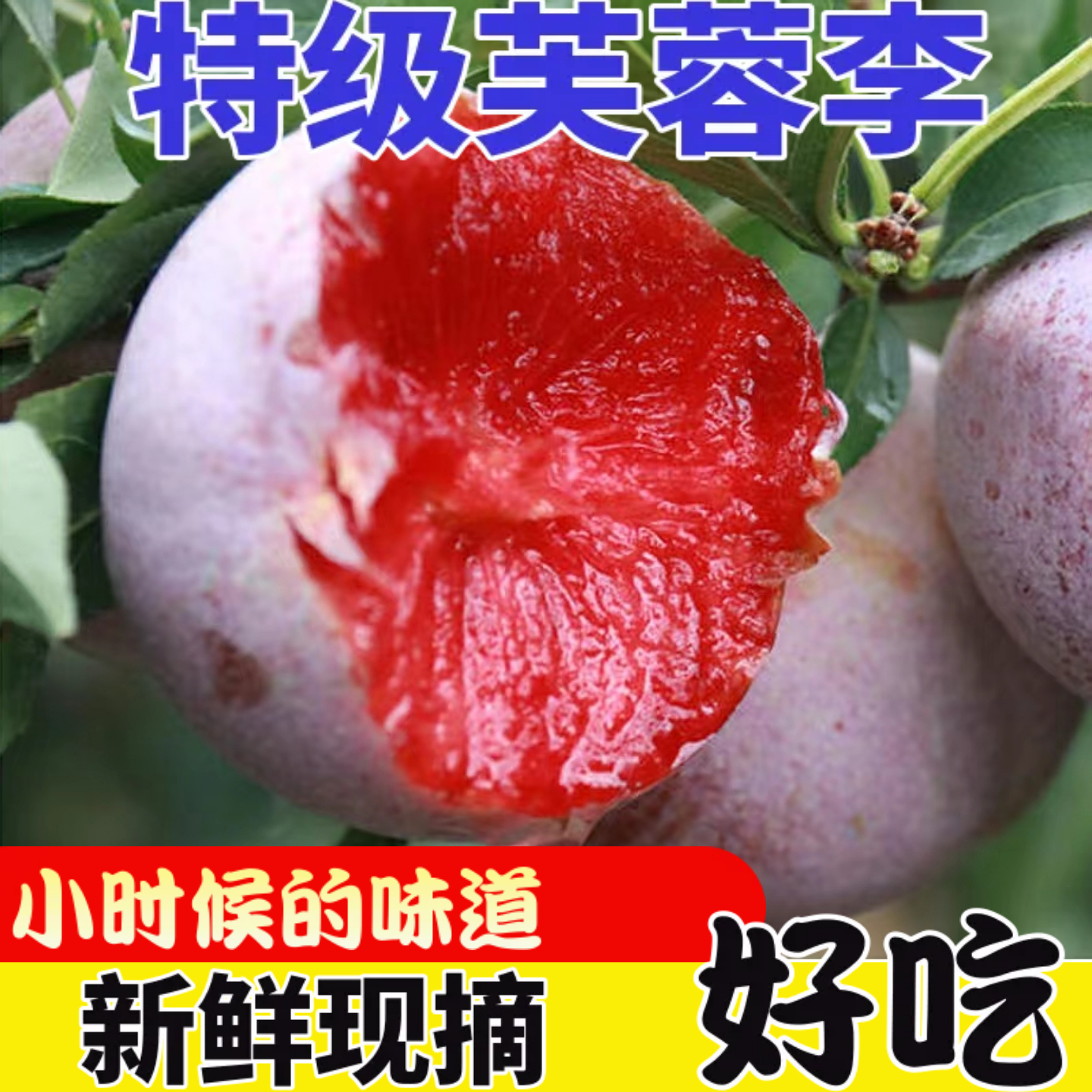 [顺丰特惠5斤装]芙蓉李红心李子新鲜福建古田三华李半边红孕妇果