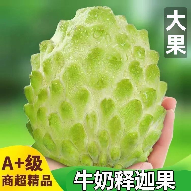 新鲜凤梨释迦果牛奶番荔枝当季佛头果树上冰淇淋香甜现摘现发