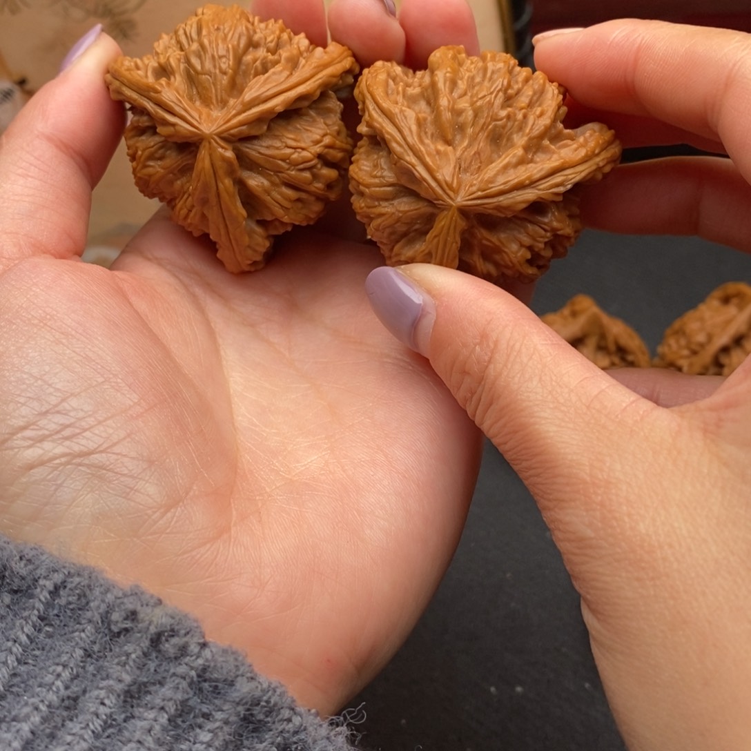 峰白狮子2111111111111111