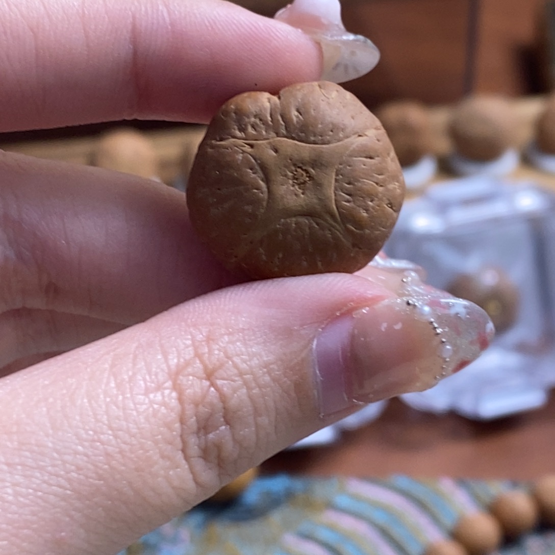 凤眼菩提吊坠 异型