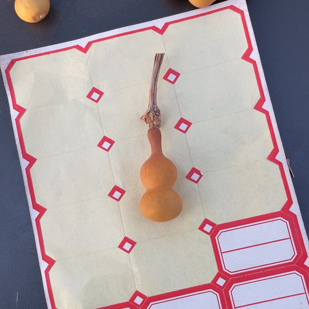 ****了8888888888888855