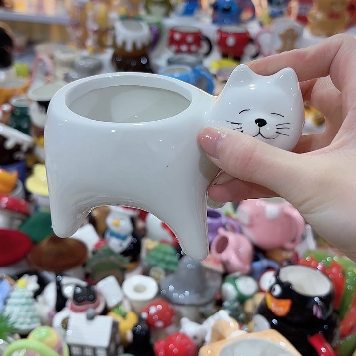 瓷片陶瓷完美主义慎拍