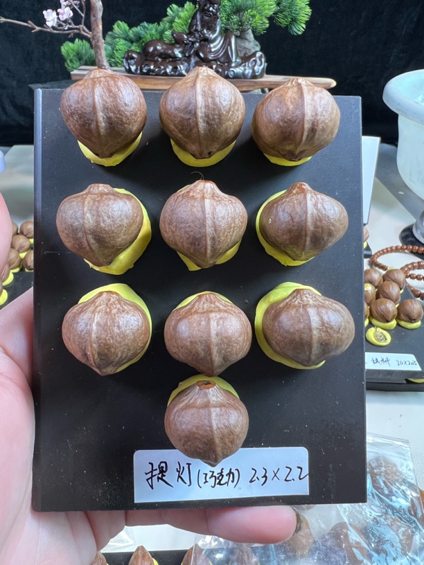 【提灯】橄榄核手串文玩手串橄榄核雕展示为样品