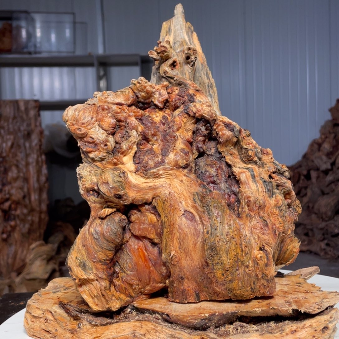 用***8木猛子琥珀木摆件27