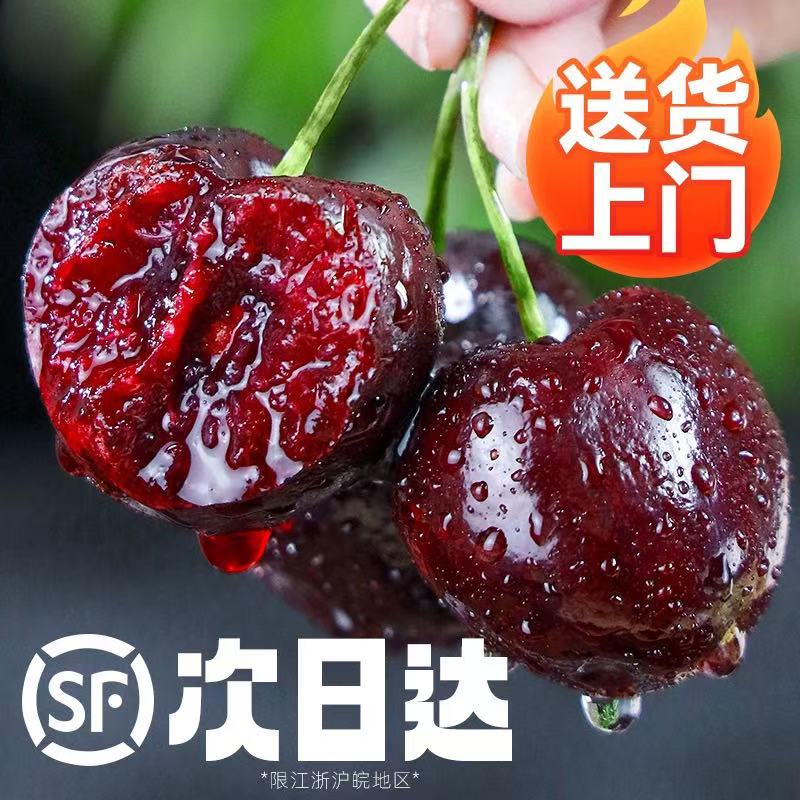 【ASUN专属】2JD顺丰海运智利进口桑提娜车厘子【次日达】原箱5斤装内附果径卡asun31桑提娜樱桃智利共和国