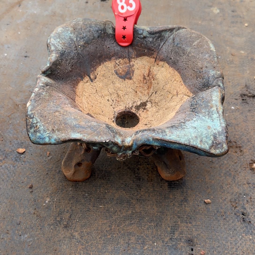 ****妹花盆  瑕 83号          