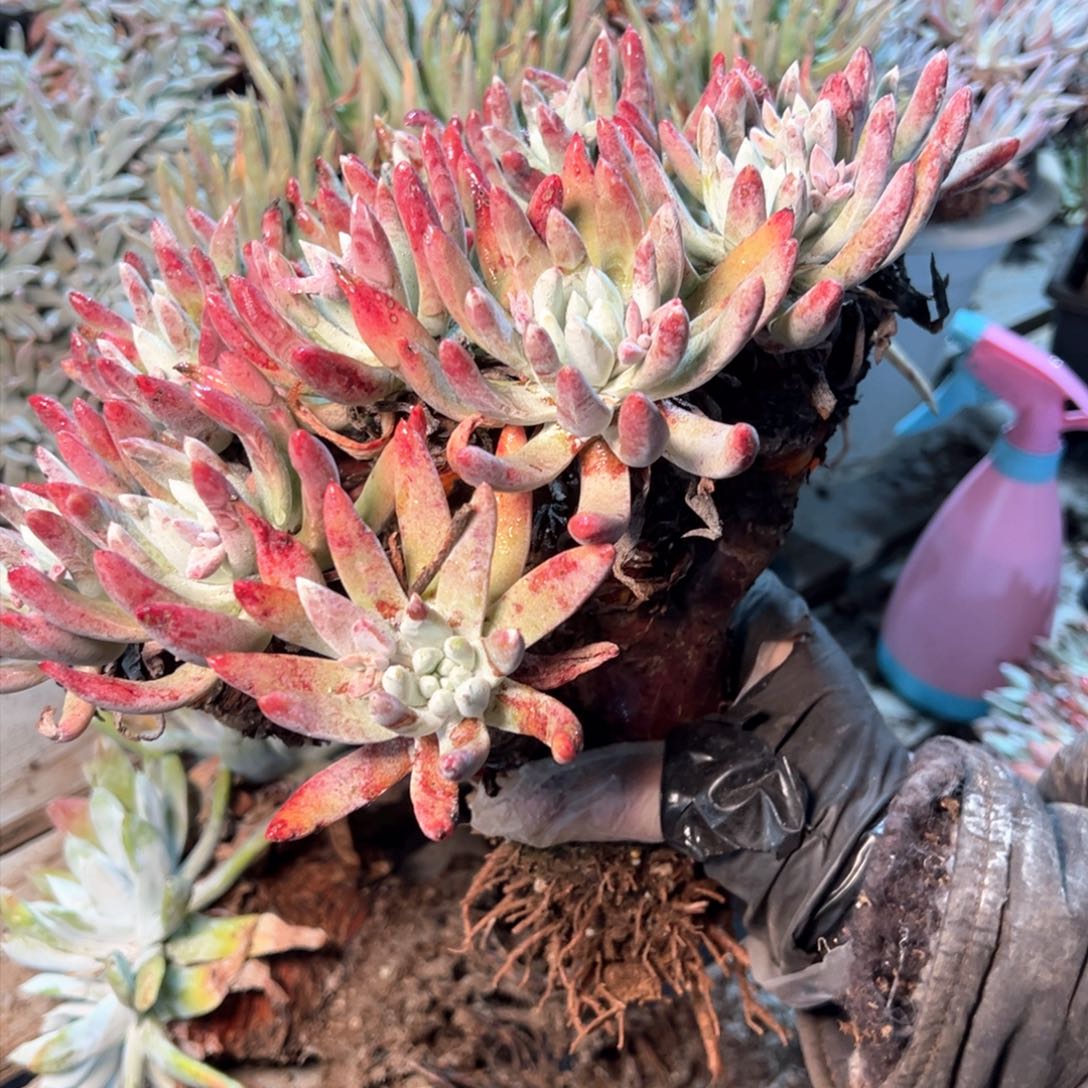 7599哈哈哈哈哈哈哈哈