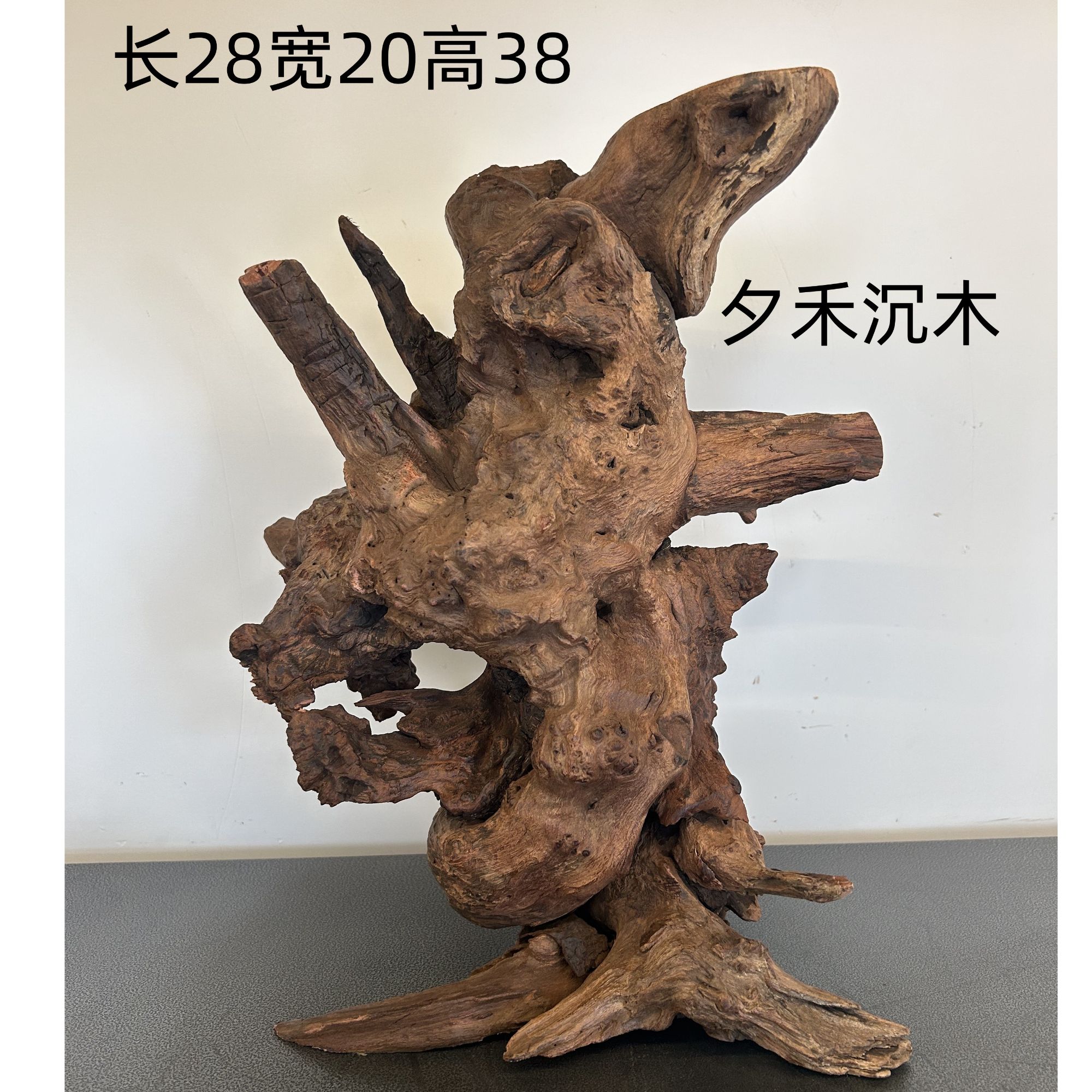 鱼缸造景精品树桩