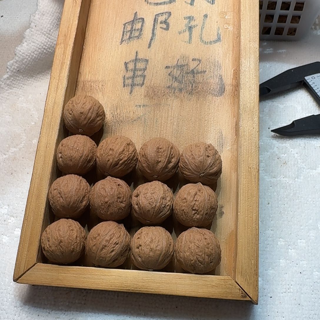 核桃手串/手链14号边21肚22高22