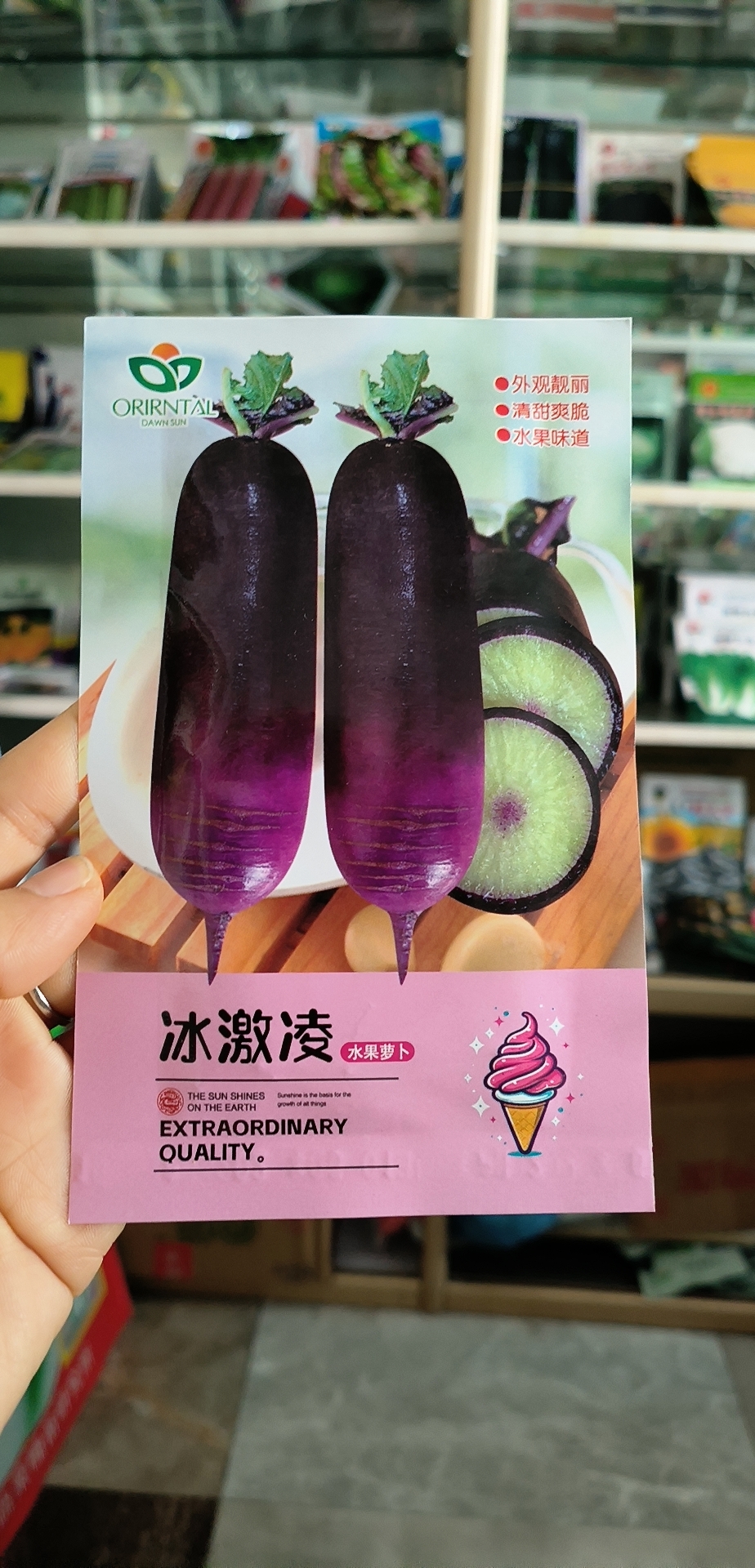 高端冰淇淋水果萝卜种子（500粒）适合种植美味可口