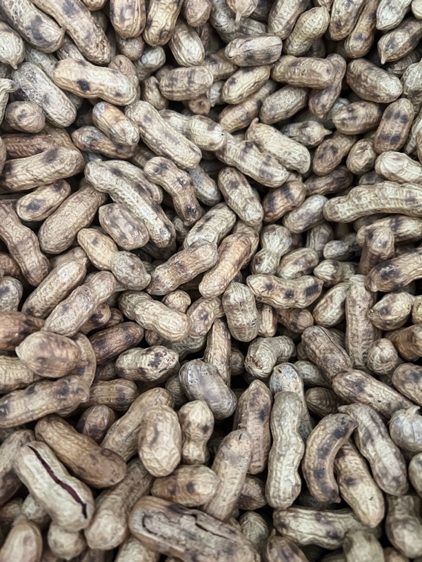 福建龙岩红衣炒花生咸香酥脆休闲炒货零食