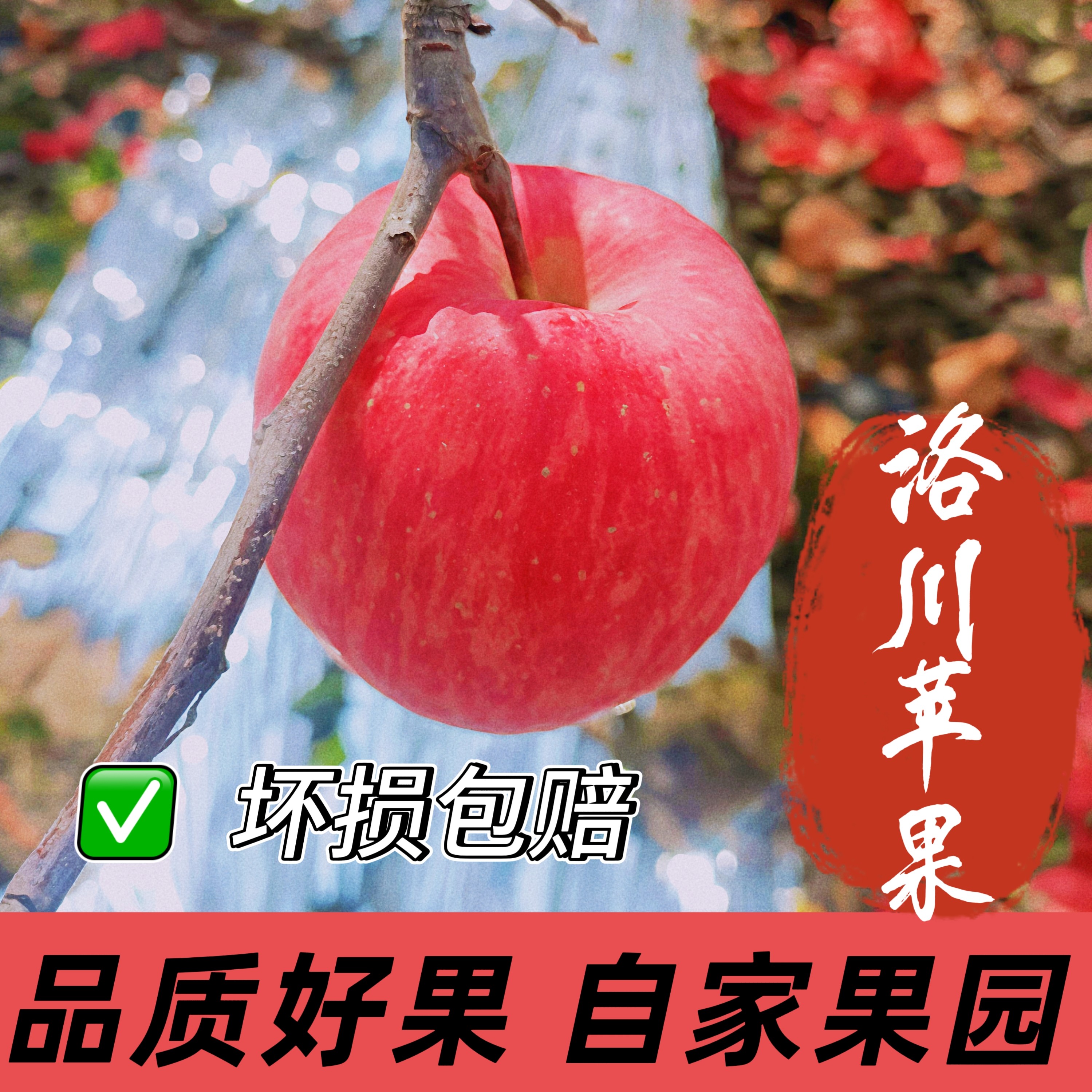 陕西延安红富士洛川苹果高品质鲜嫩多汁红润有光泽试吃6颗装