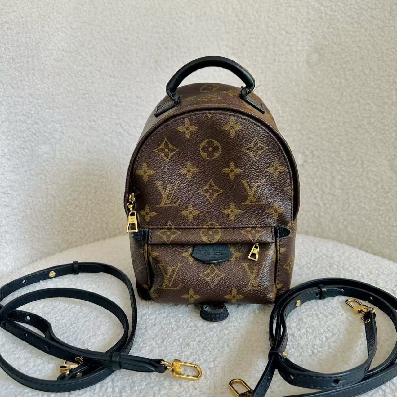 95新 LouisVuitton/路易威登 经典老花双肩迷你
