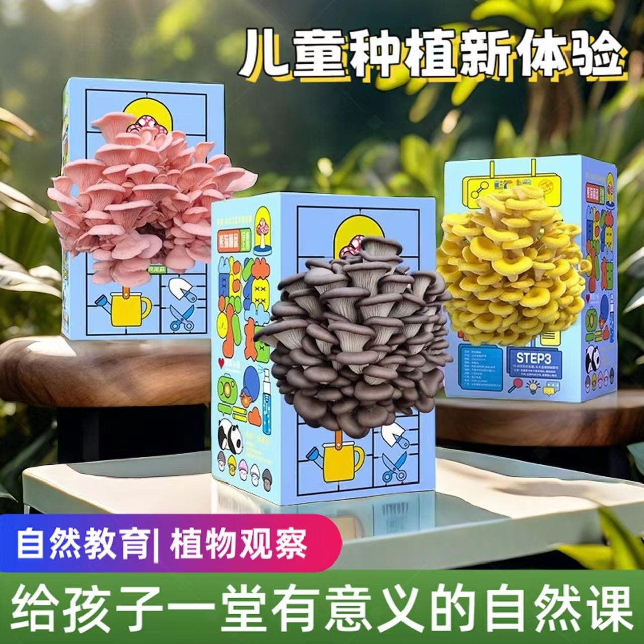 蘑菇种植菌包平菇蘑菇盒家庭室内种植蘑菇科学小实验儿童益智玩具商品图