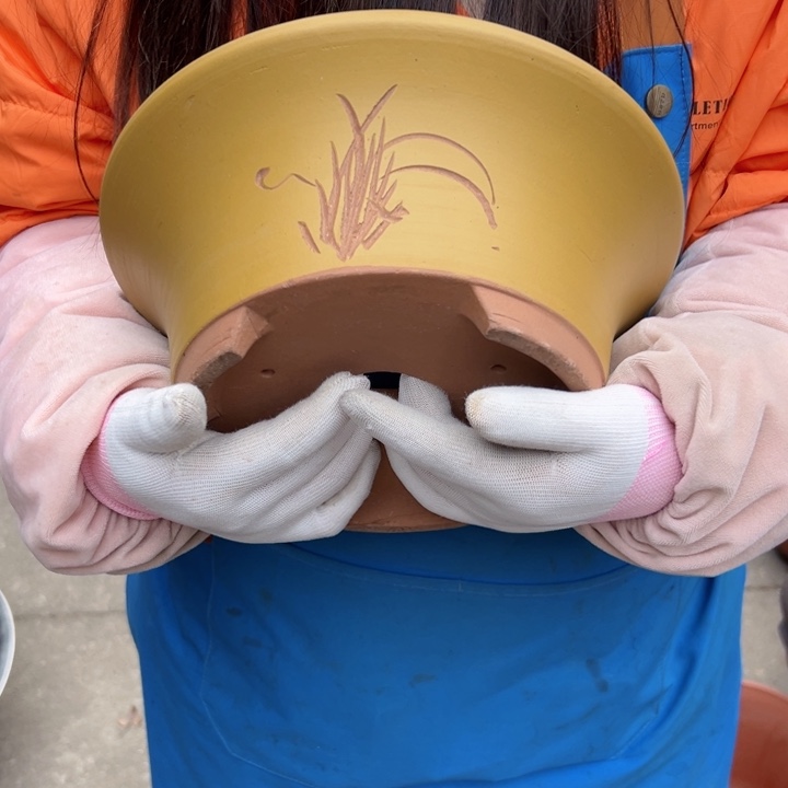 23黄票口花盆花盆花盆花盆