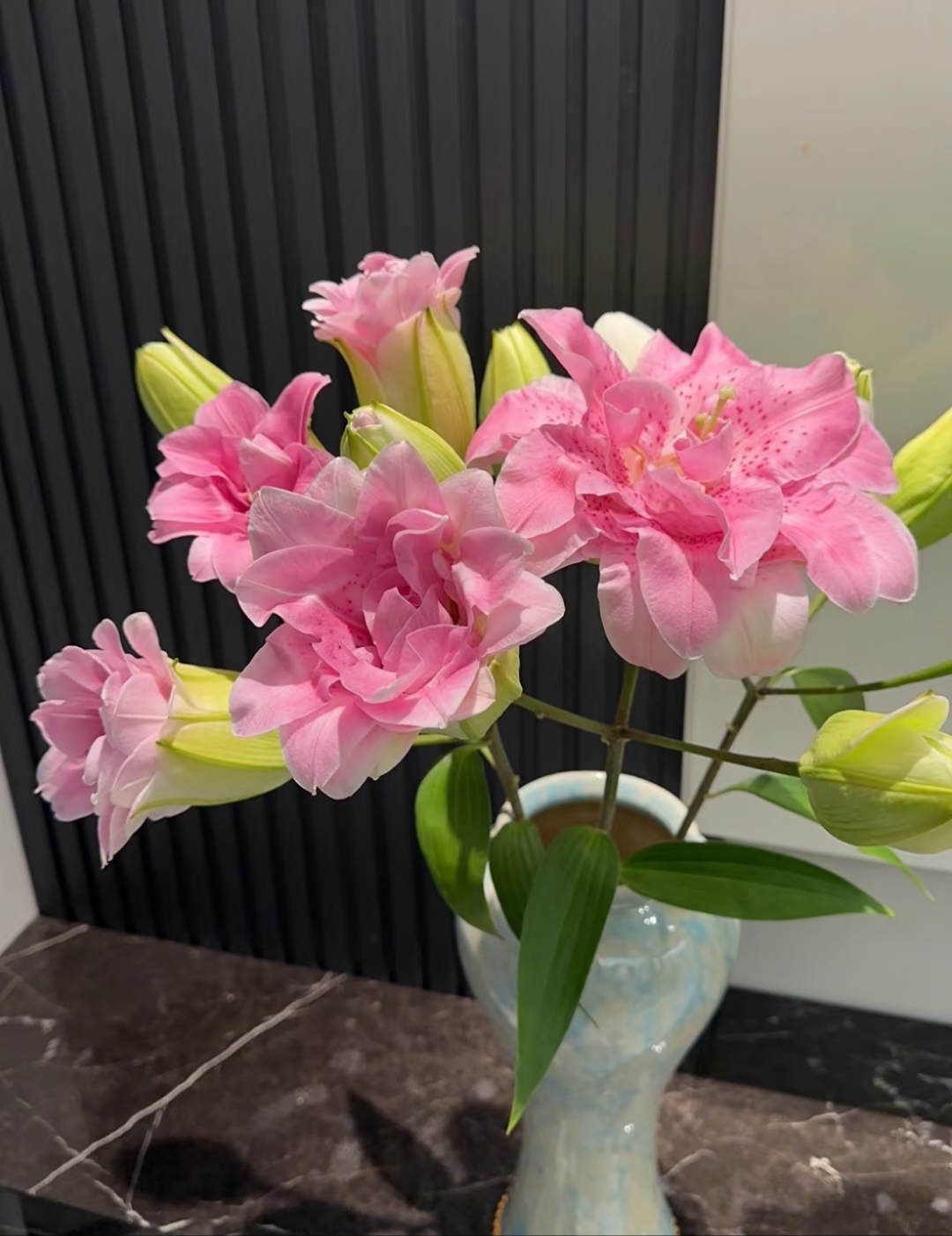 精品 拉菲 香水百合叶子修剪养护颜值开花  拒收不售后