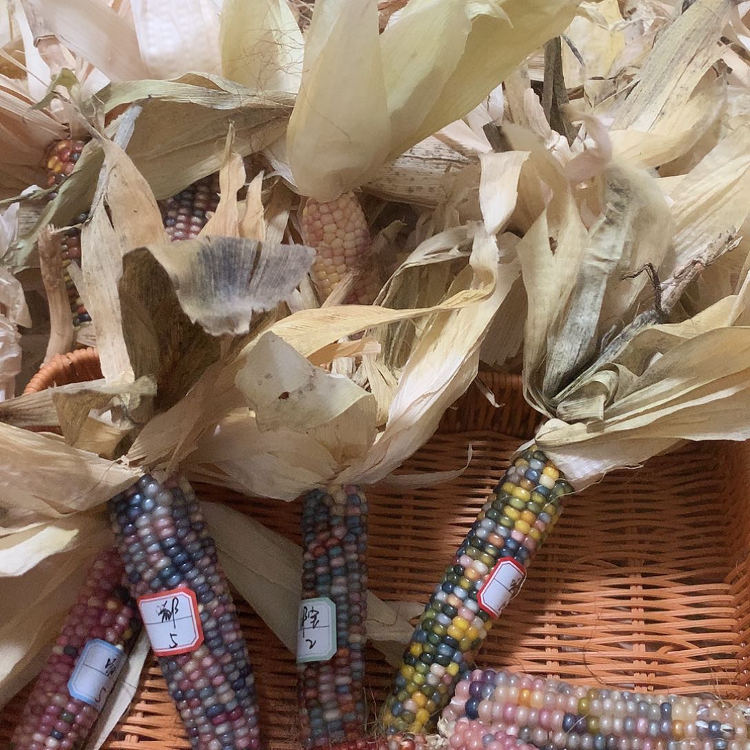 嘟宝小宝专拍链接