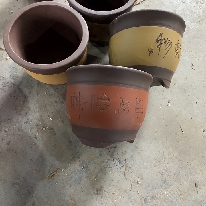 19×15开播福利四只微瑕