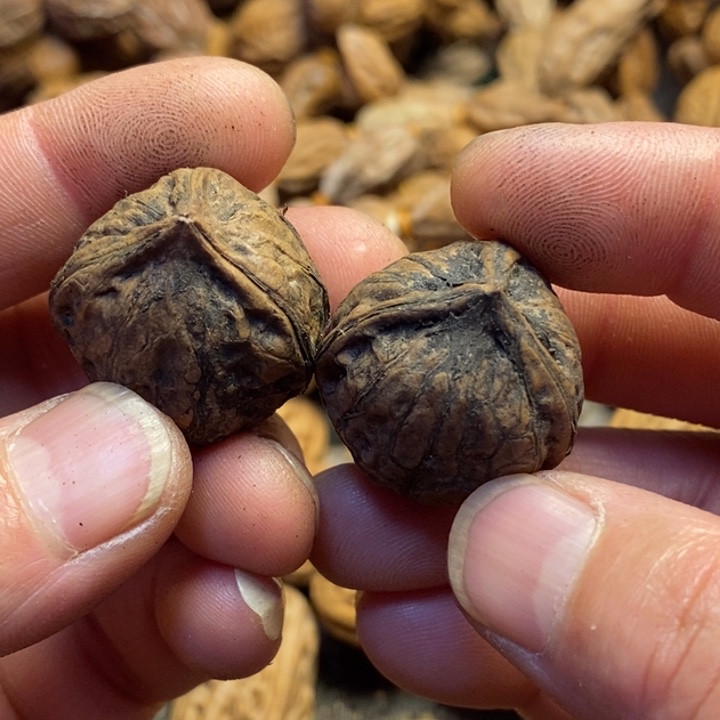 吊坠桃核东北特产25