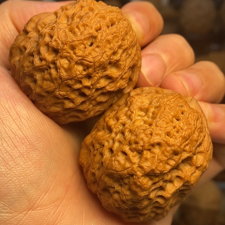 把件文玩核桃老蟾