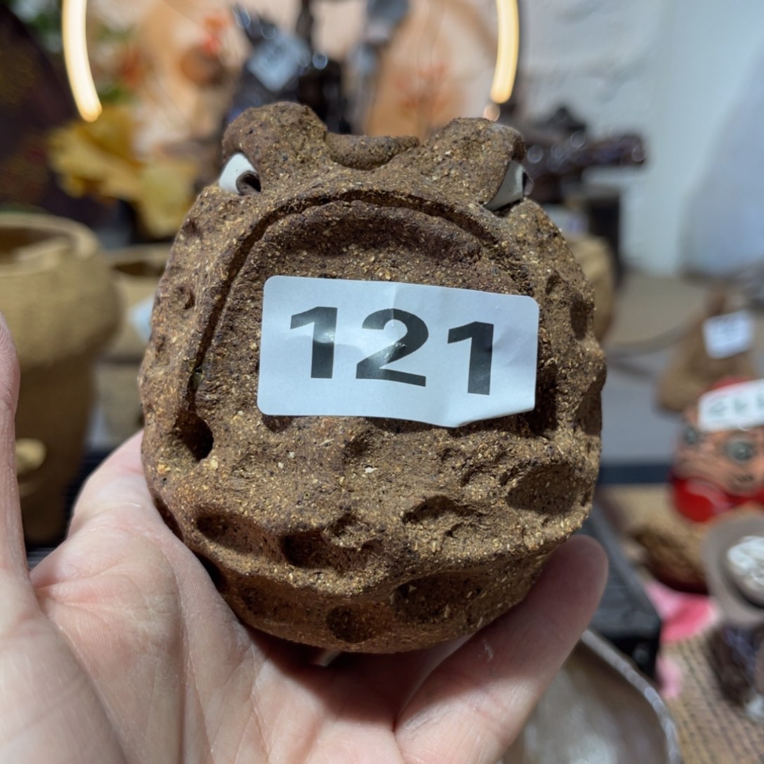 木村信弘柴烧保平