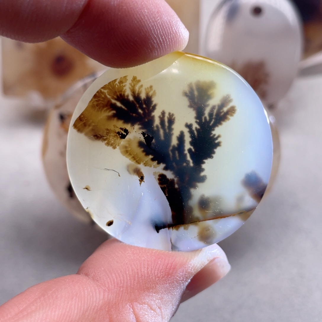 【闪购商品】玛瑙/玉髓颈饰合金