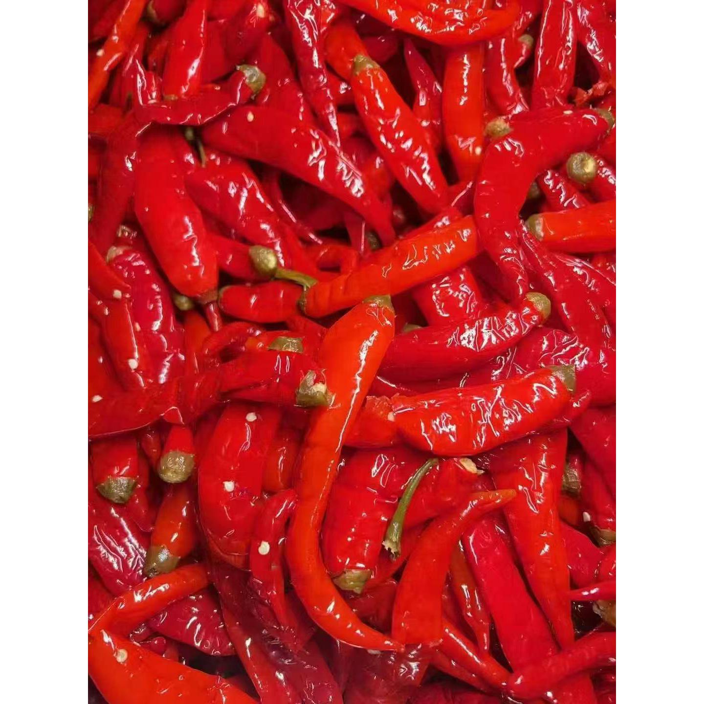 湖南特产酸泡辣椒