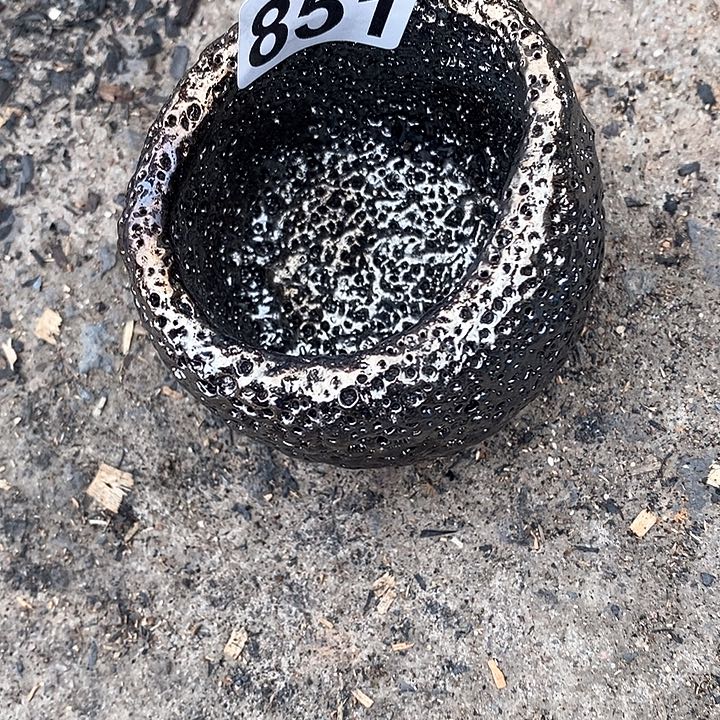 信*翁荥经黑砂馒头窑主人杯福利