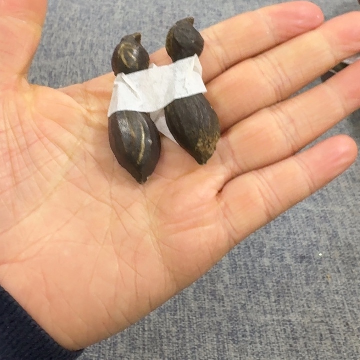 非常美丽漂亮的物品