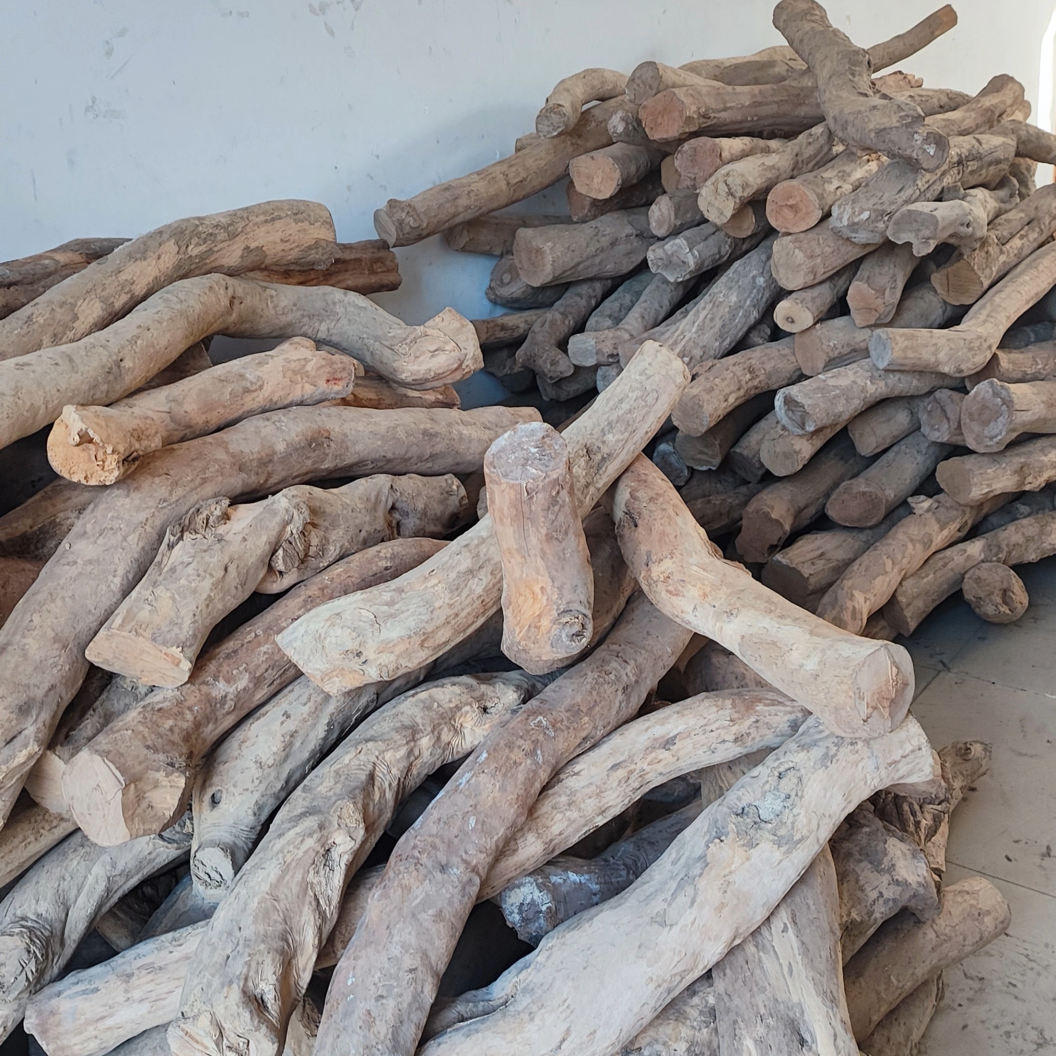 湖北珍珠黄杨木老料