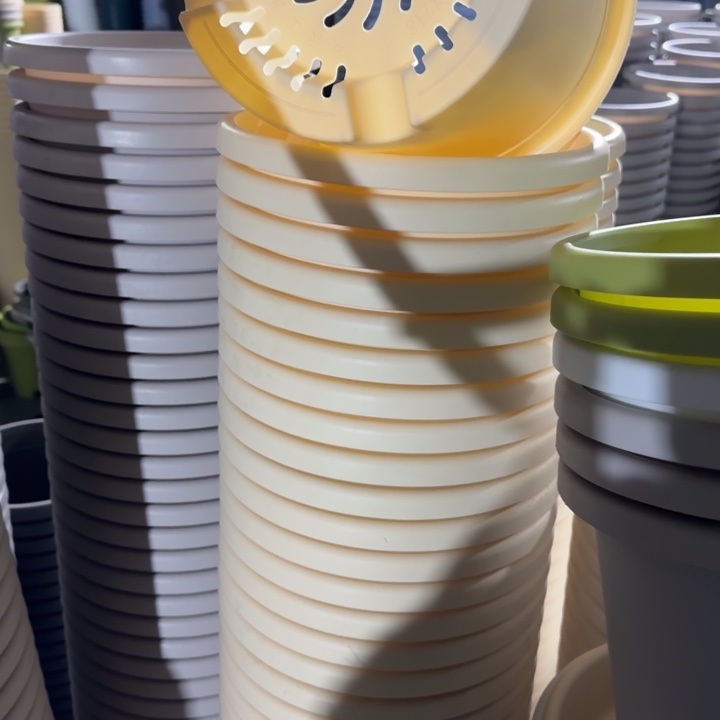 四季4号5个米黄色的花盆