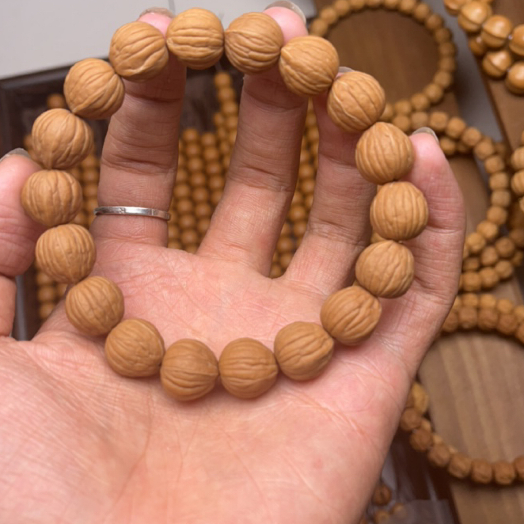 【全品毕业级】全品金苹果猴头 高质量原皮原色高油性