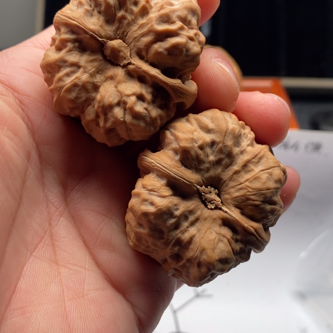 诸***花好的我真的是太喜欢了一个