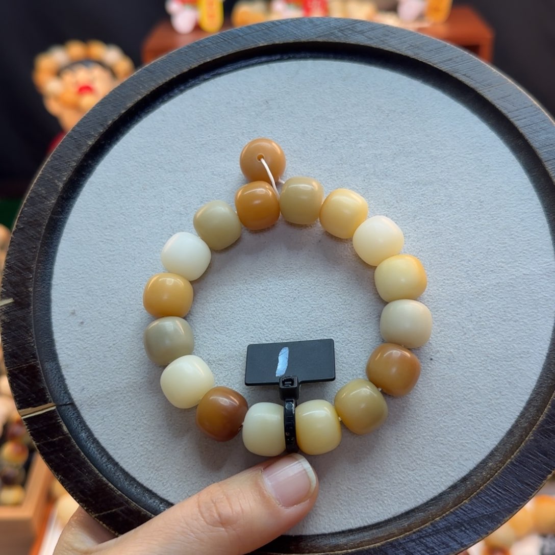 菩提根/象牙果手串卡14桶珠干磨全品1