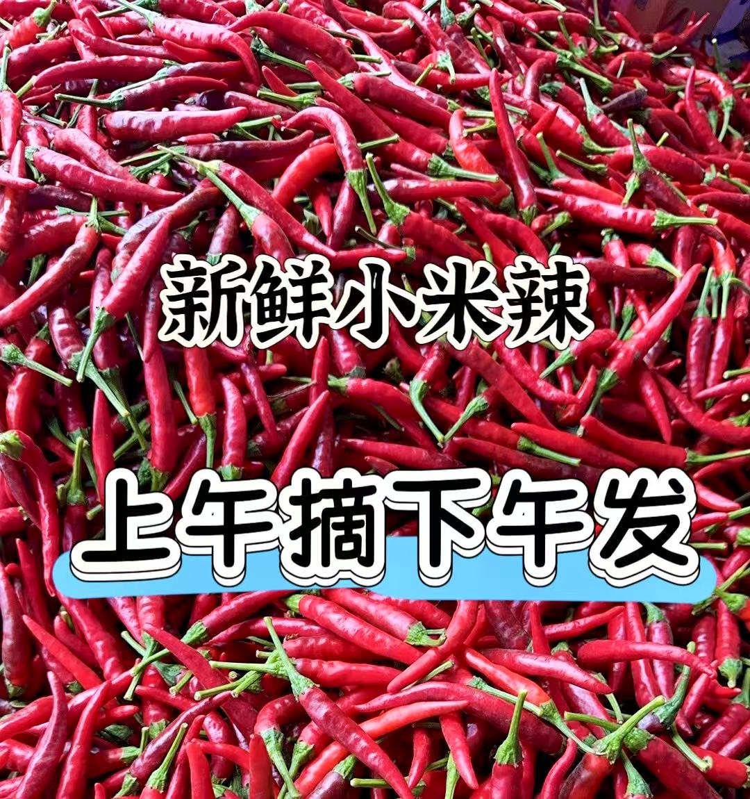 新鲜小米椒特辣小米辣鲜椒朝天椒红辣椒指天椒泡椒红辣椒产地直发