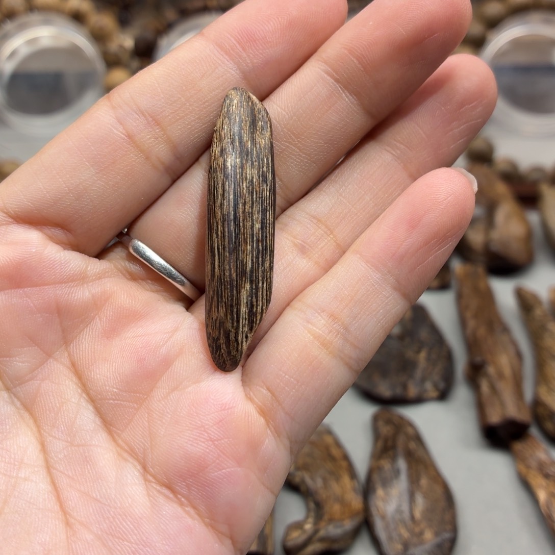 沉香沉香碎屑文莱