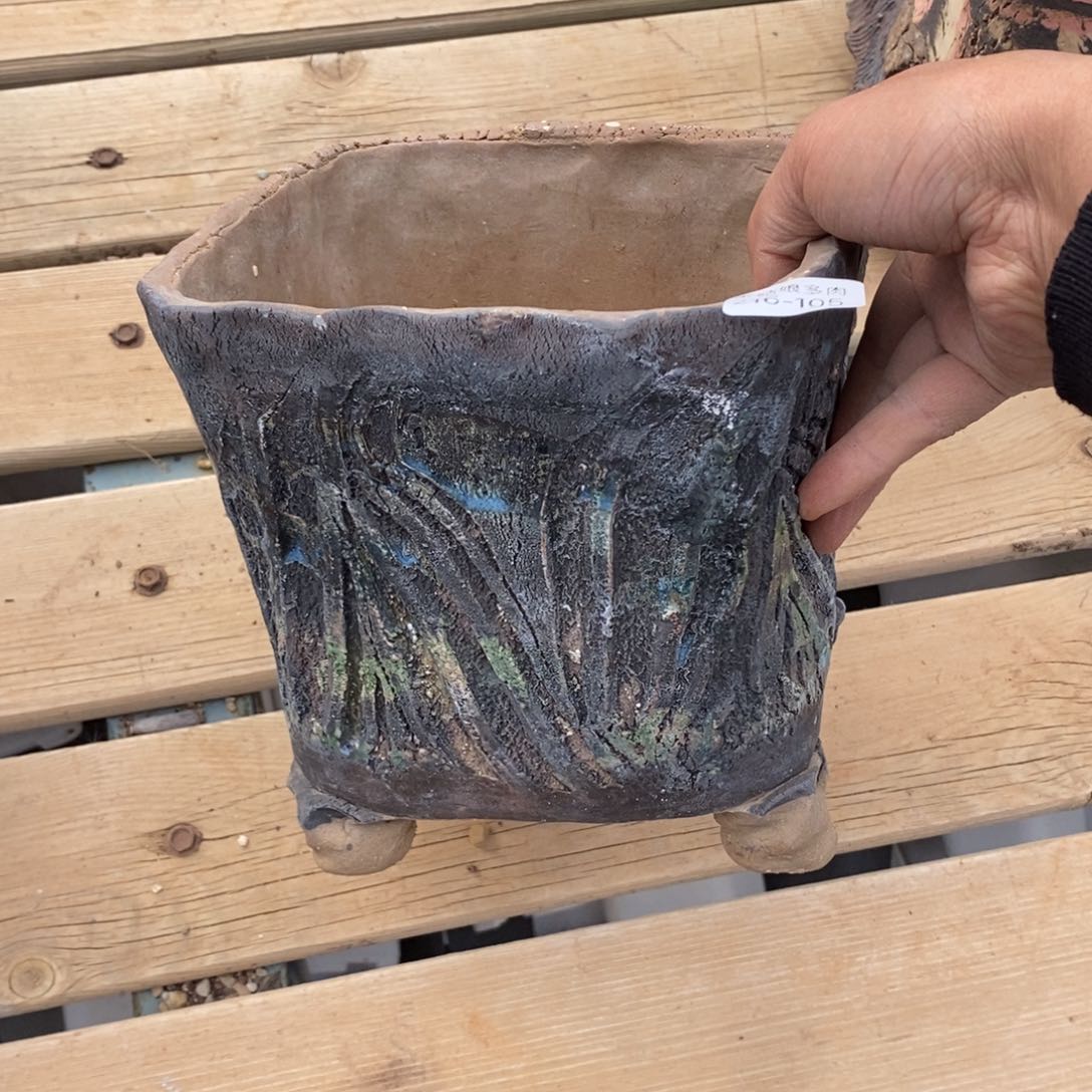 红陶L**k105号的人盆一个呀