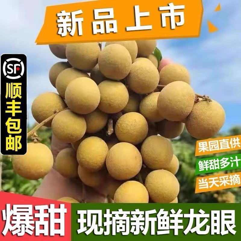 【顺丰包邮】现货龙眼新鲜广东储良鲜桂圆当季甜新鲜水果整箱5斤q