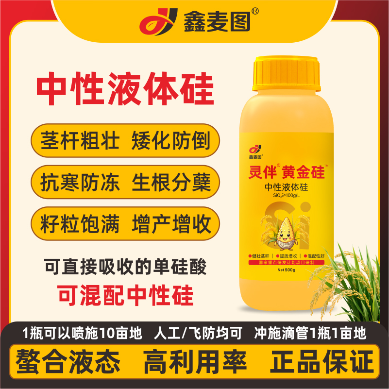 【买⑤发⑥】鑫麦图液体中性硅肥小麦水稻玉米强杆促吸收抗倒增产叶面商品图