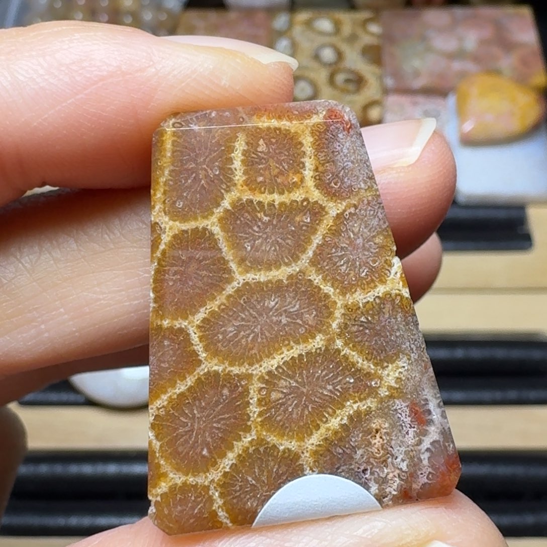 硅化玉闪电豹纹，可盘未镶嵌