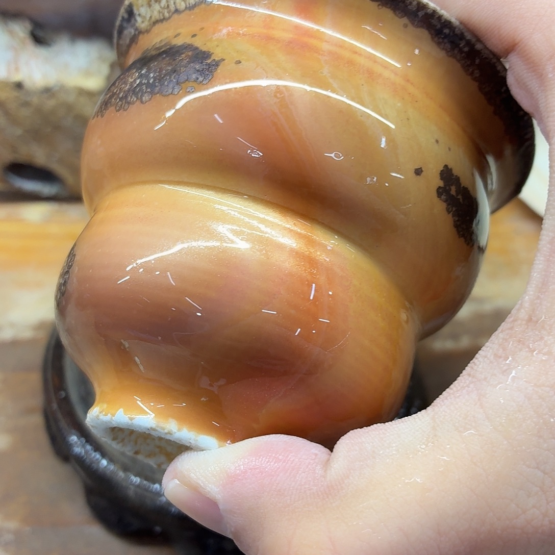 陶园柴烧，精品高货238