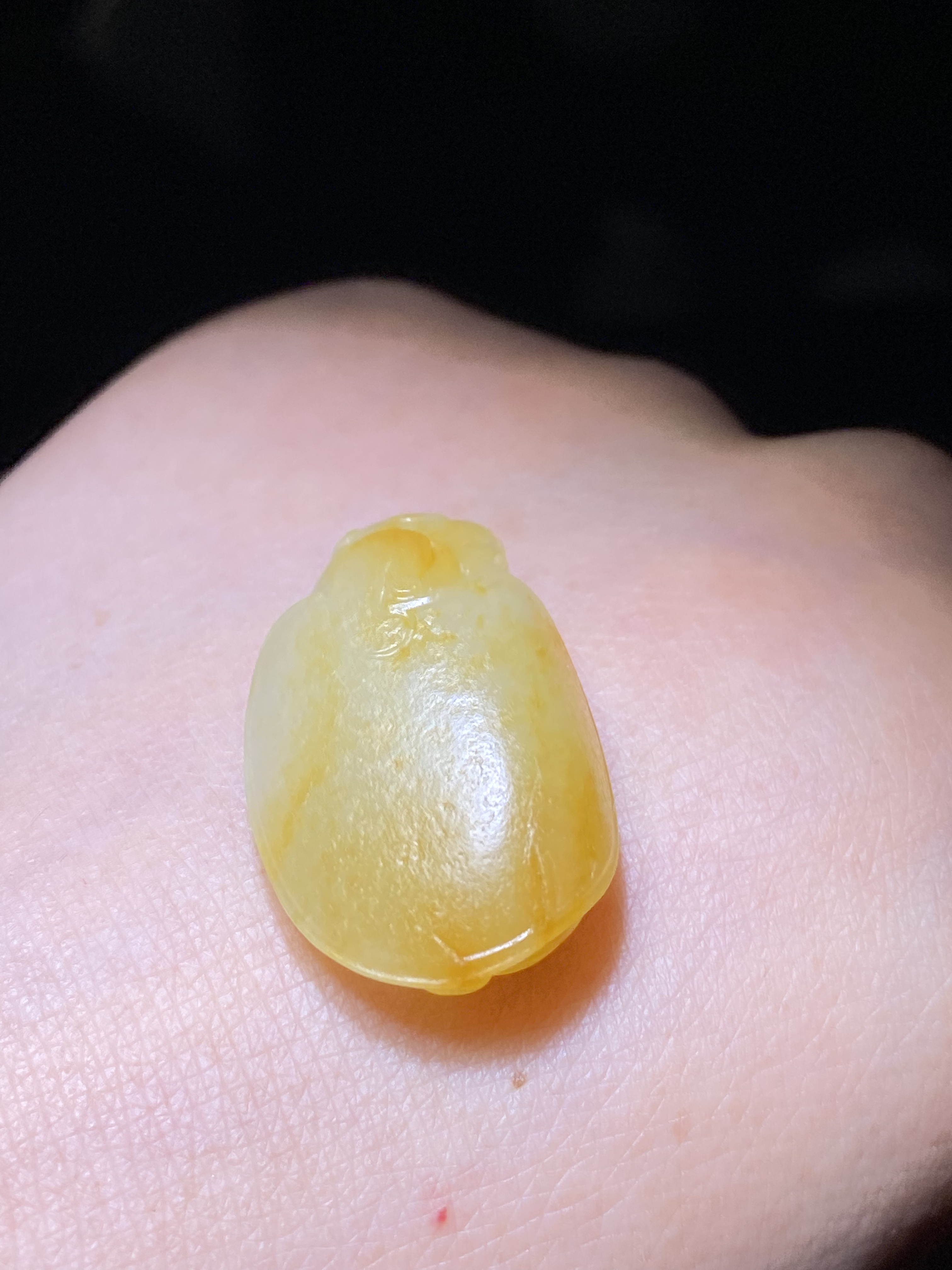新疆和田玉 龙龟吊坠挂件 独籽满皮金皮 脂粉老气油细