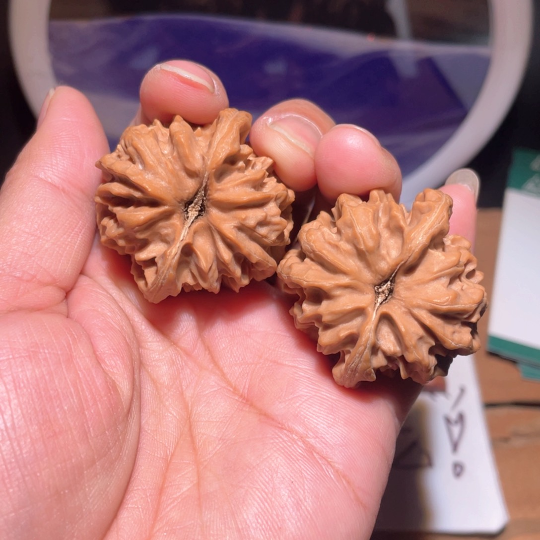 把件核桃李*珍C018。38尺。 大龙