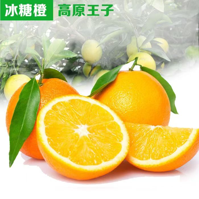 云南高原王子橙当季新鲜现摘水果商超品质臻选精品果礼盒装