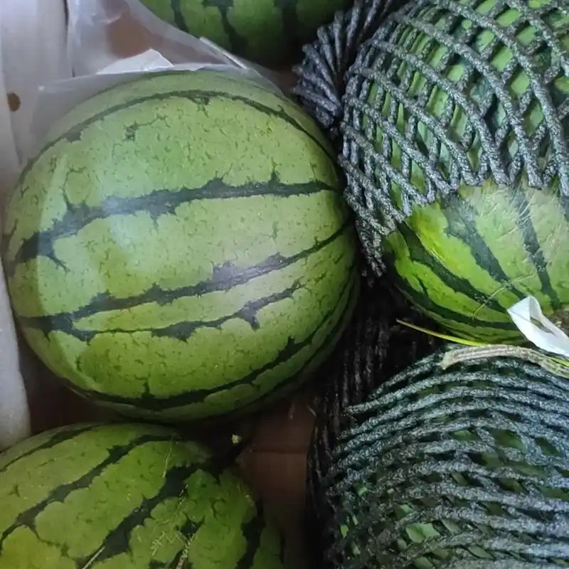 【富贵专属顺丰次日达】海南吊瓜2颗3.5公斤左右包邮到家海南省